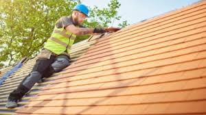 Best Roof Maintenance and Cleaning  in Singac, NJ